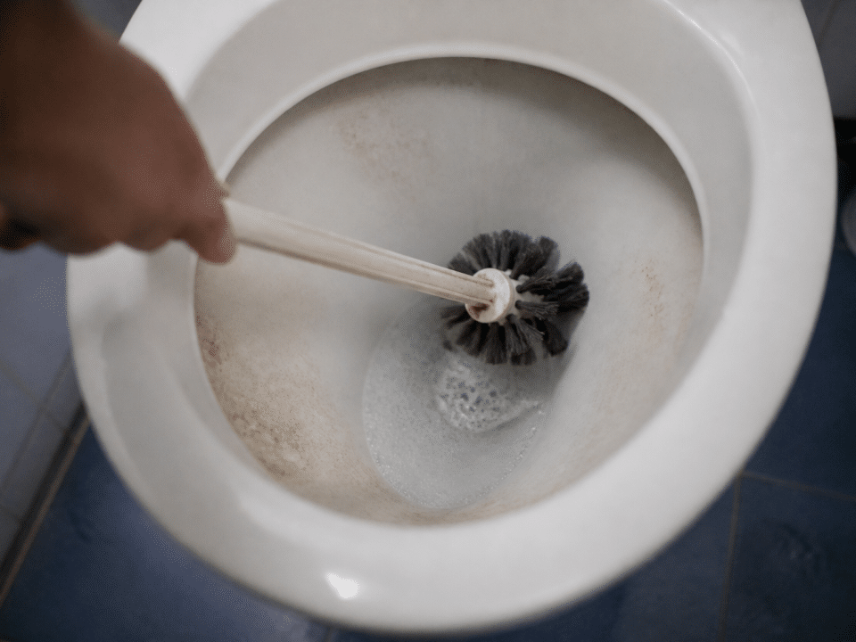 Brosse de toilettes frottant vigoureusement une cuvette blanche encrassee