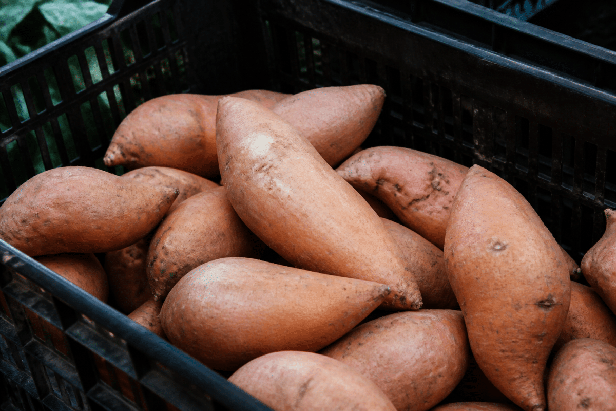 Patates douces entières dans panier ventilé sombre