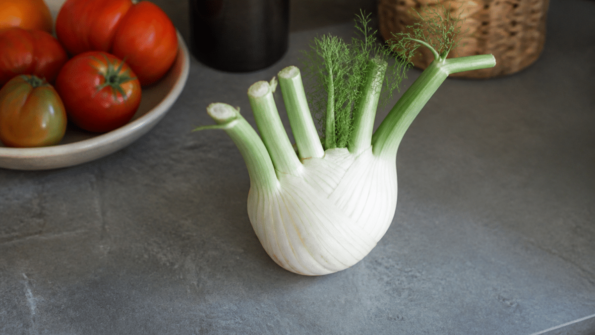 Bulbe fenouil blanc entier pose plan travail cuisine