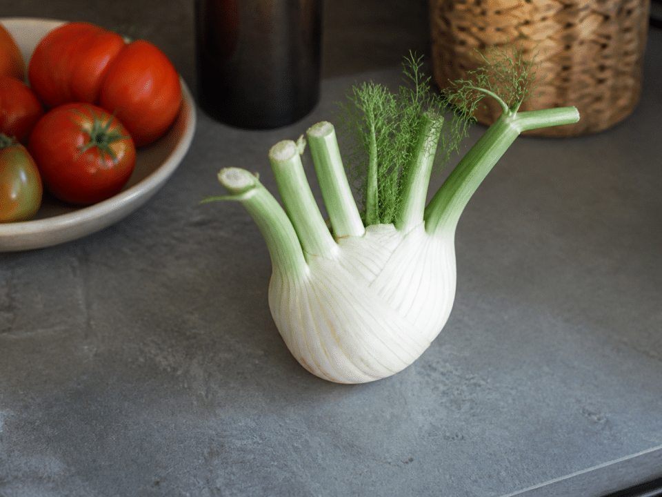 Bulbe fenouil blanc entier pose plan travail cuisine