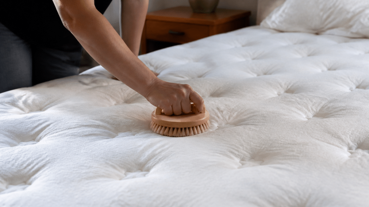 Personne frottant surface matelas blanc avec brosse circulaire