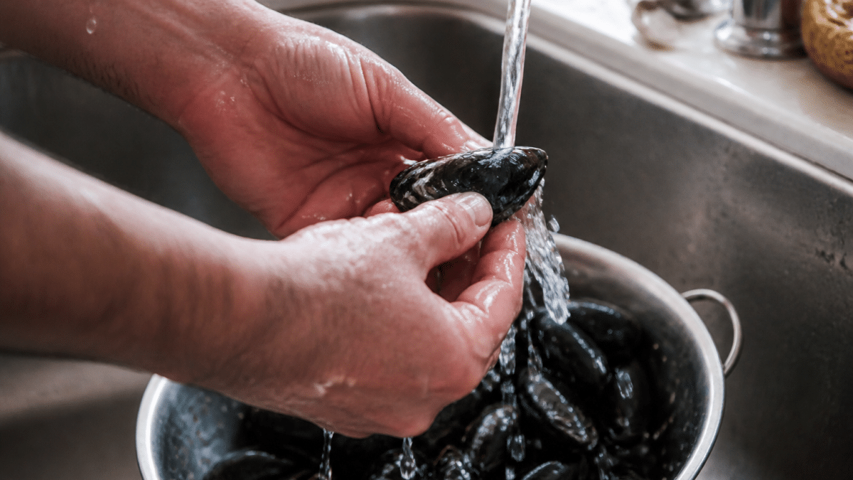 Mains nettoyant des moules fraiches sous l'eau courante