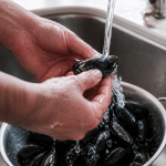 Mains nettoyant des moules fraiches sous l'eau courante