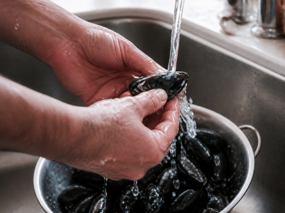 Mains nettoyant des moules fraiches sous l'eau courante