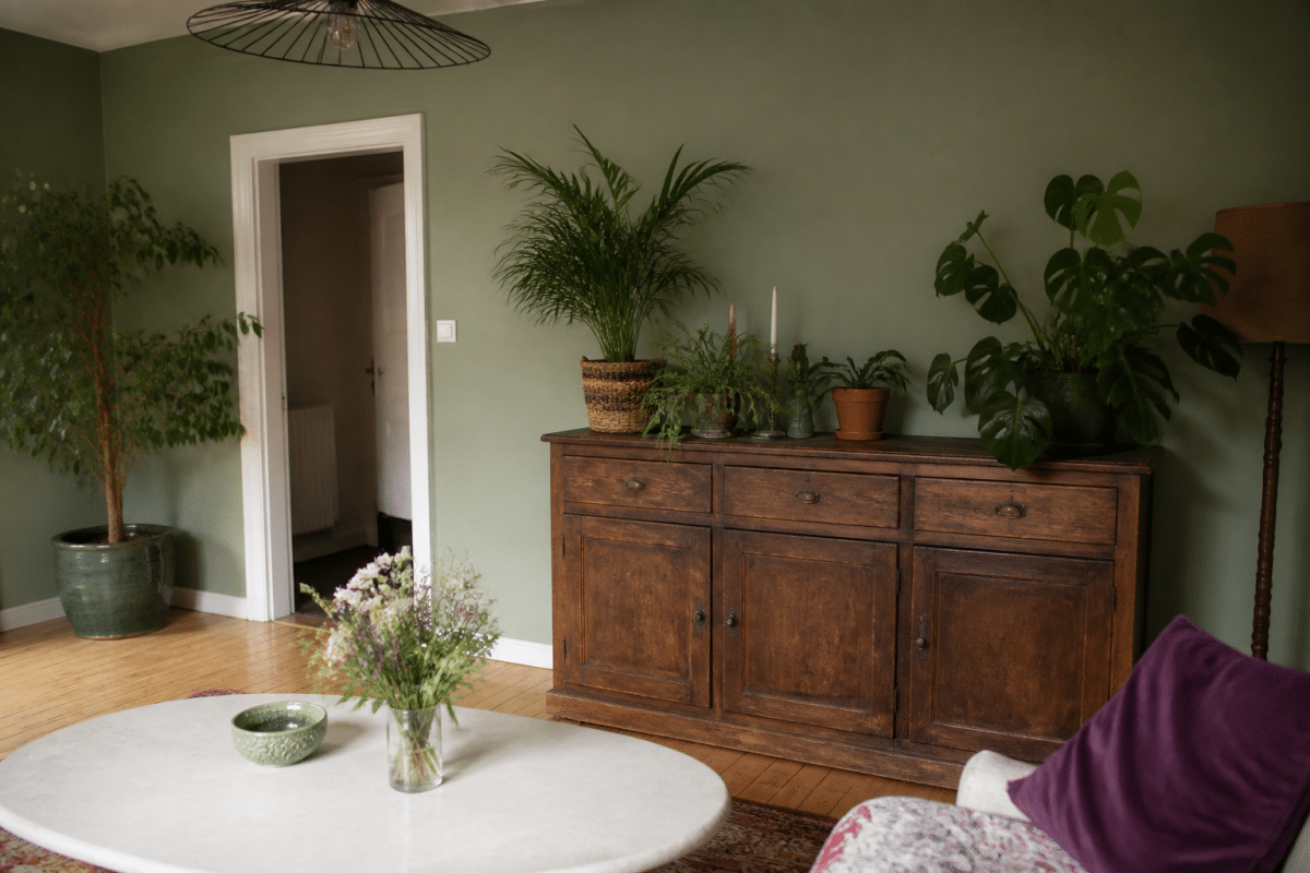 Salon avec mur peint, meuble restaure et plantes vertes