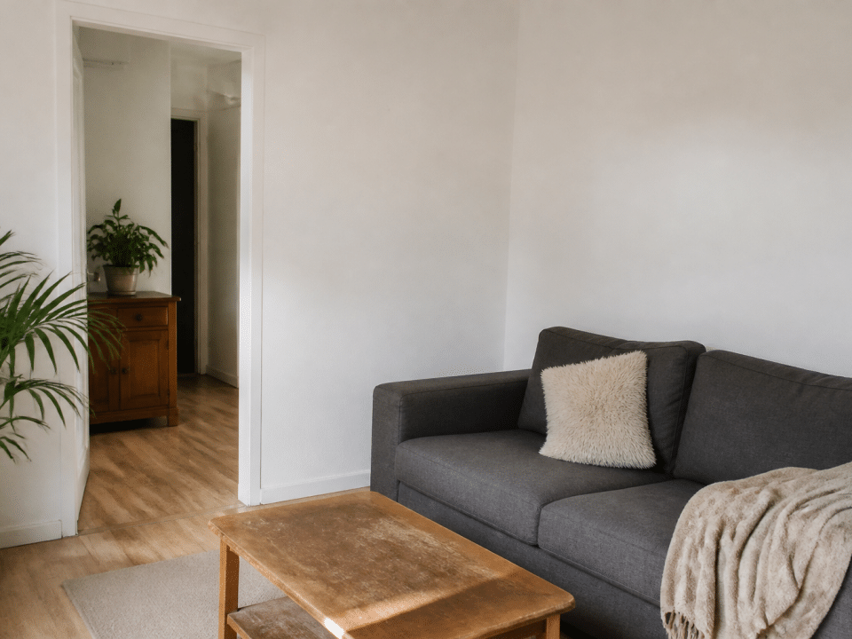 Petit salon aux murs blancs avec meubles simples et accessoires economiques