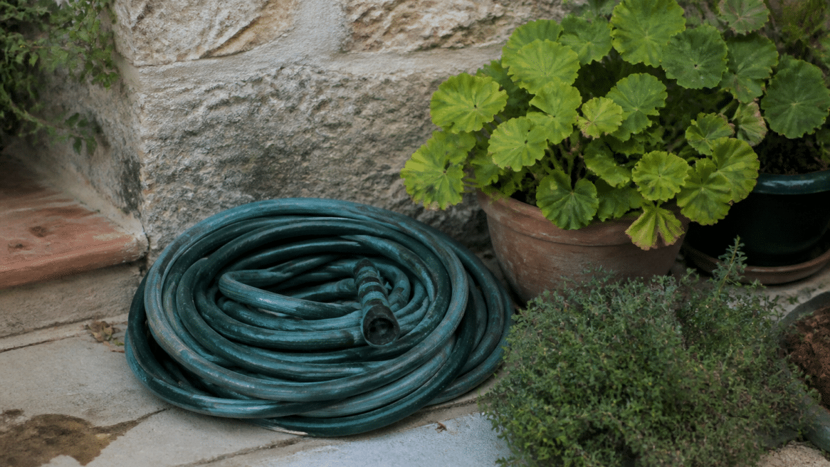 Tuyau d'arrosage enroule pres de plantes vertes au sol