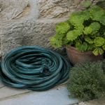 Tuyau d'arrosage enroule pres de plantes vertes au sol
