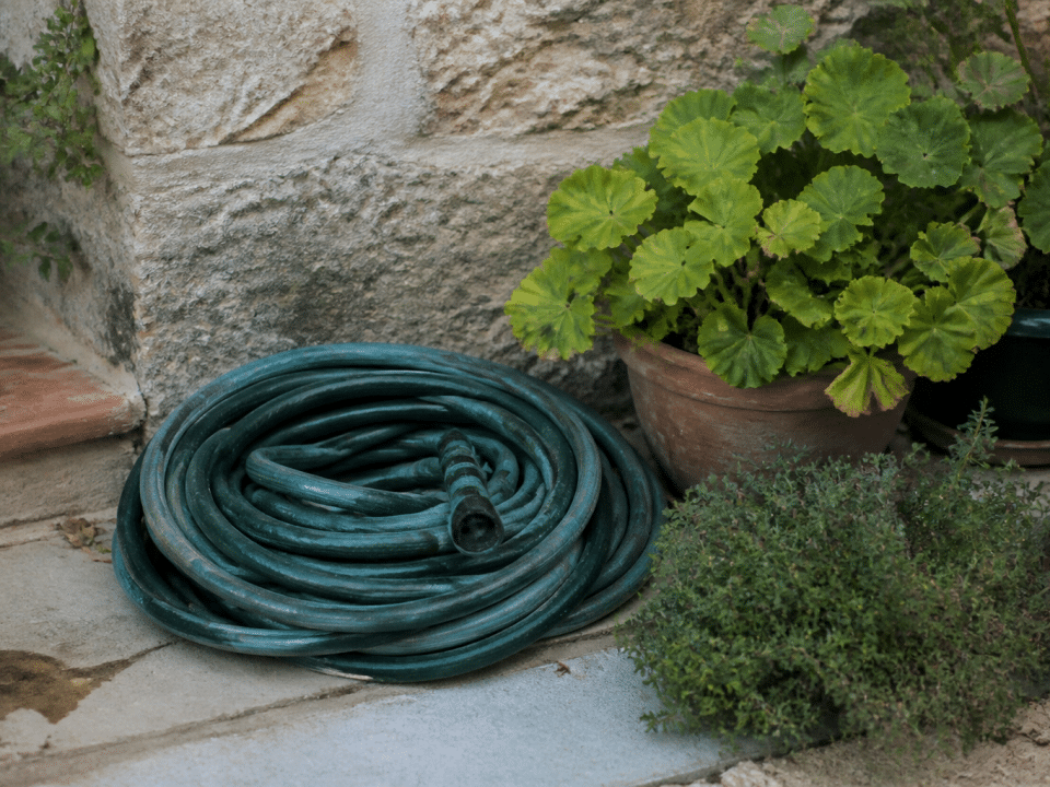 Tuyau d'arrosage enroule pres de plantes vertes au sol